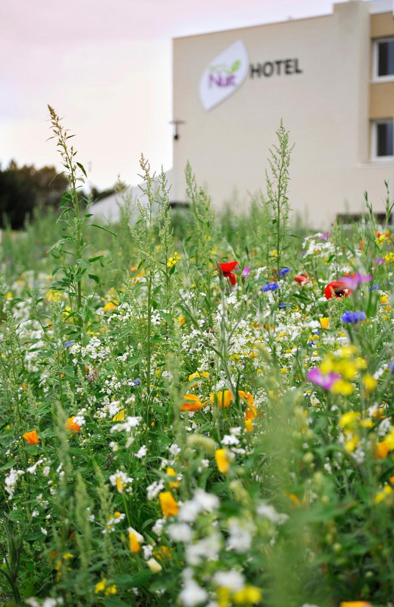 Eco Nuit La Baule Guerande Hotel Exterior photo